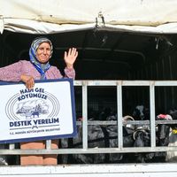 EKONOMİ