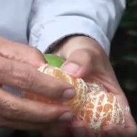 EKONOMİ