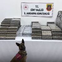 ASAYİŞ