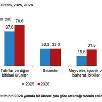 EKONOMİ