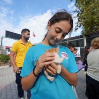 GÜNDEM