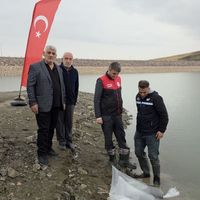 ÇEVRE
