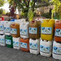 EKONOMİ