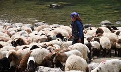 Bir çocuğun sessiz çığlığı: "Hiç oyuncağım olmadı"