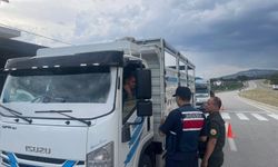 Mut’ta Ormanlara Sıkı Denetim