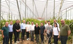 Anamur’da Tarım, Hayvancılık ve Gıda Güvenliği Toplantısı Gerçekleştirildi