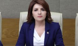 CHP'li Kış: “Çiftçi Afetlere ve Sisteme Karşı Savunmasız”
