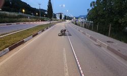 Çanakkale'de Motosiklet Kazasında 19 Yaşındaki Genç Hayatını Kaybetti