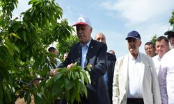 TZOB Genel Başkanı Bayraktar: “Tarihimizin En Büyük Tarımsal Afetini Yaşıyoruz”