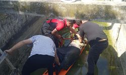 Mersin’de Karşıya Geçmek İsterken Kanala Düşen Yaşlı Adam Yaralandı