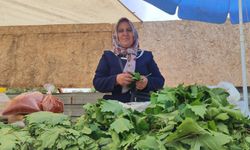 Asma yaprağı satarak çocuklarını okutuyor