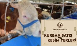 Mersin’de Kurban Satışı ve Kesimi İçin Başvurular Başladı