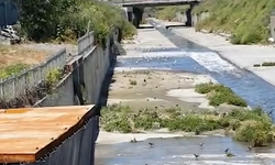 Bakanlıktan İSKİ’ye Arıtmasız Deşarj Cezası