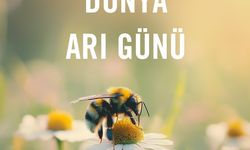 Dünya Arı Günü: Doğanın Sessiz Kahramanları Arılar 100 Milyon Yıldır Görev Başında