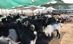 Toroslar’da Bayram İçin Hijyenik Kurban Alanları Hazır