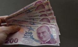 Emeklilerin beklediği oldu: 44 bin liraya yakın ödeme almak isteyen başvursun