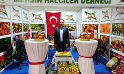 Şefik Kaya: “Karpuzun Olması Gereken Fiyatı 14-16 TL”