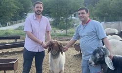 Mersin’de Kurbanlık Fiyatları Arttı, Satışlar Düşüşte