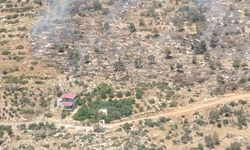 Mersin'deki Orman Yangını Kontrol Altına Alındı