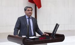 Ekmen, Mersin Sorunlarına Değindi