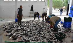 Muğla, Su Ürünlerinde Türkiye Şampiyonu Oldu