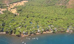 Kıyı Ormanlarının Turizme Açılması Meclis Gündeminde