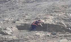 Malatya’da Koruma Ağına Takılan Yaban Keçileri Kurtarıldı