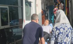 Piknik Keyfi Korkuya Döndü: Yılan Isırdı, Hastaneye Kaldırıldı