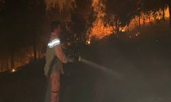 Anız Yakarken Ormanı Yaktılar