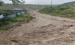Göle’de Sağanak Sele Yol Açtı, Evleri Su Bastı