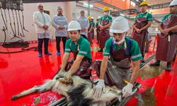 Mersin'de şehitlerin anısına kurban kesildi