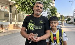 Küçük Çocuk Yavru Kumru İçin Seferber Oldu