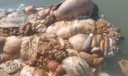 Adana Sulama Kanalları Kurban Artıklarıyla Doldu