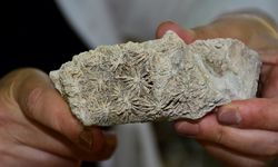 Mut'ta Milyonlarca Yıllık Fosiller Gün Yüzüne Çıkıyor