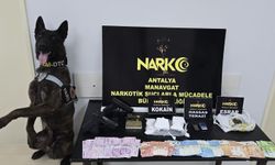 Antalya'da Narkotik Baskınında 141 Kişi Yakalandı