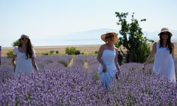 Burdur'da Lavanta Festivali: Doğa, Sanat ve Koku Buluştu