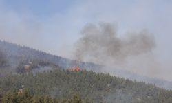 Kahramanmaraş’ta Orman Yangınlarıyla Mücadele Sürüyor