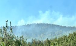 Kahramanmaraş’ta Orman Yangını Kontrol Altında