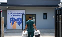 Büyükşehir’den Hayvanseverlere Büyük Destek