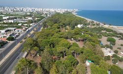 Erdemli’de Bungalovdan Glampinge, Her Şey Hazır: Başkan Kara’dan Çamlık Daveti