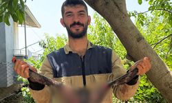 Tarsus’ta Kurban Kesimleri Bayramın 3. Gününde de Sürüyor