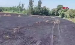 Osmaniye’de Buğday Tarlasında Çıkan Yangın 20 Dönüm Alanda Hasara Yol Açtı