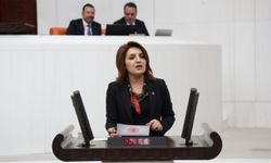 CHP’li Kış: “Emeklinin İkramiyesi Altın Gibi Eriyor, Hakları Gidiyor”