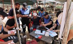 Mersin'de Kurban Pazarı Denetimi