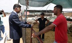 Akdeniz’de Kurban Bayramı Hazırlıkları Tamamlandı