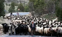 Bin Yıllık Geleneğin İzinde: Mersin’de Yörük Yaşamı