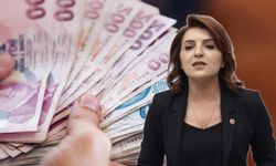 CHP’li Kış’tan Asgari Ücret Tepkisi: “Bu Milleti Açlığa Mahkum Edemezsiniz”