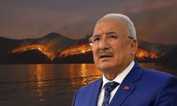 “Daha Yazın Başındayız” Diyerek Uyardı: Kocamaz’dan Yangın Çıkışı