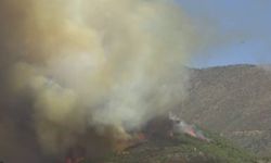 Hatay'da Yangınların Sebebi Kundaklama Mı?