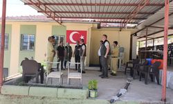 Mersin'de yangın alarmı: Müdür Ataş sahaya indi